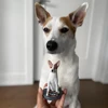 Custom Pet Bobblehead - Fully Personalized Animal Figurine Based on Your Photo,Unique Gift for Pet Lovers 1