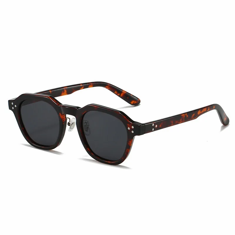 Retro Polarized Sunglasses Men Ultralight TR90 Frame Polygon Women Outdoor Travel Eyewear