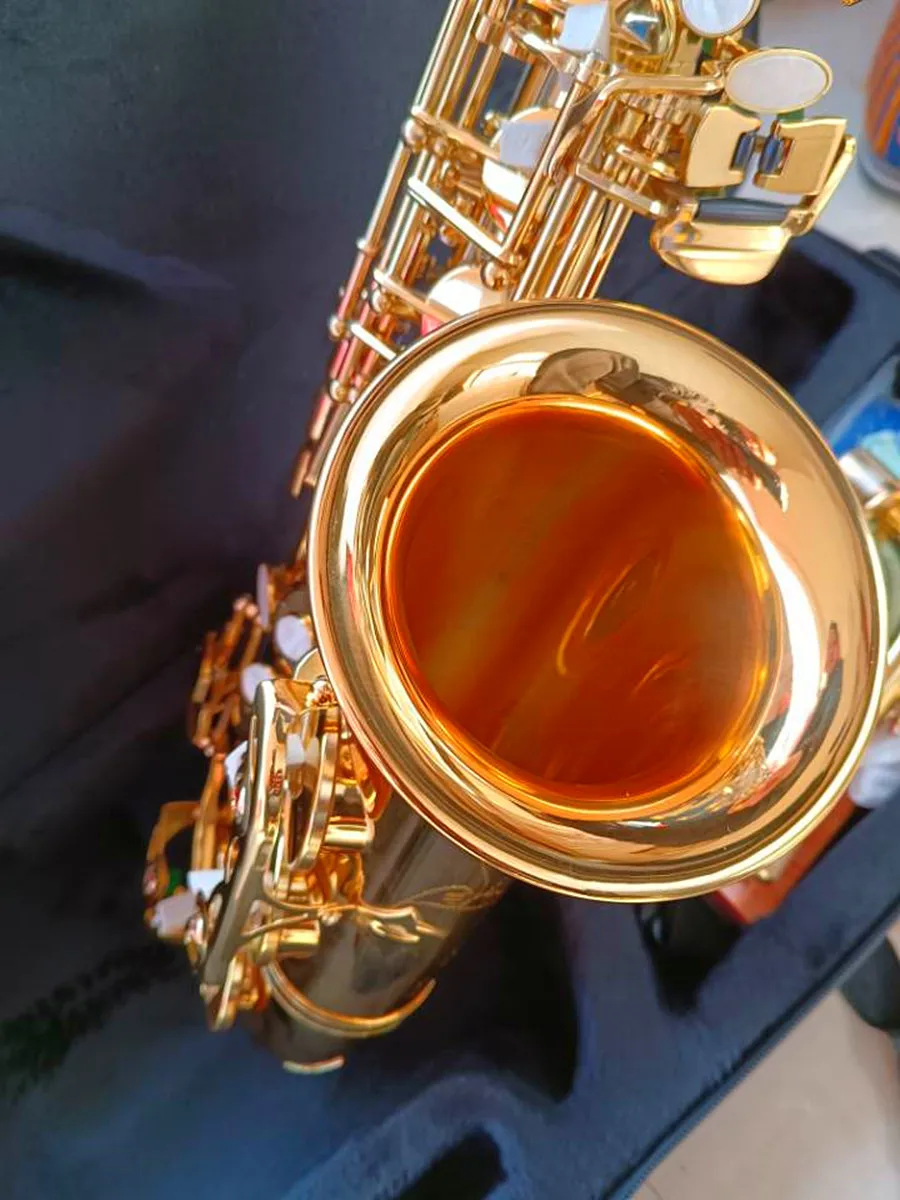 Profession Alto Eb Saxophone 802 Brass Gold E Flat Sax Performance Musical Instrument With Case Accessories