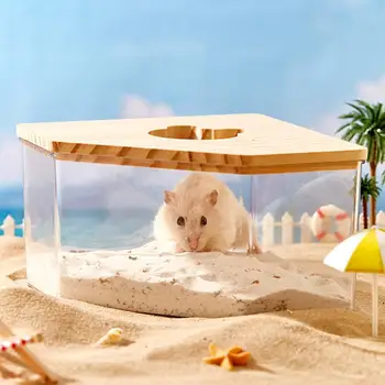 Transparent Sand Bath Box 1