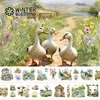 2m/Roll Countryside Animal PET Stickers Decorative Transparent Tape For Scrapbooking Journal Aesthetic Stationery 2