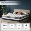 Vesgantti California King Mattress 10 Inch Innerspring Multilayer Hybrid Cal King Size- Ergonomic Design with Memory Foam 3