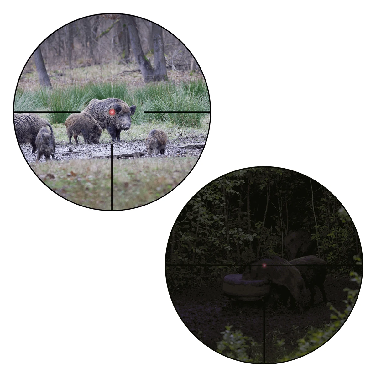 Vector Optics Constantine 1-10x24 SFP LPVO Riflescope With Fiber Dot Reticle Used Under Strongest Sunlight For Hunting 6