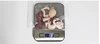 Simulated Human Organ Model Montessori Teaching Aids Children Brain Heart Gastrointestinal Liver Kidney Models Realistic Safe 5