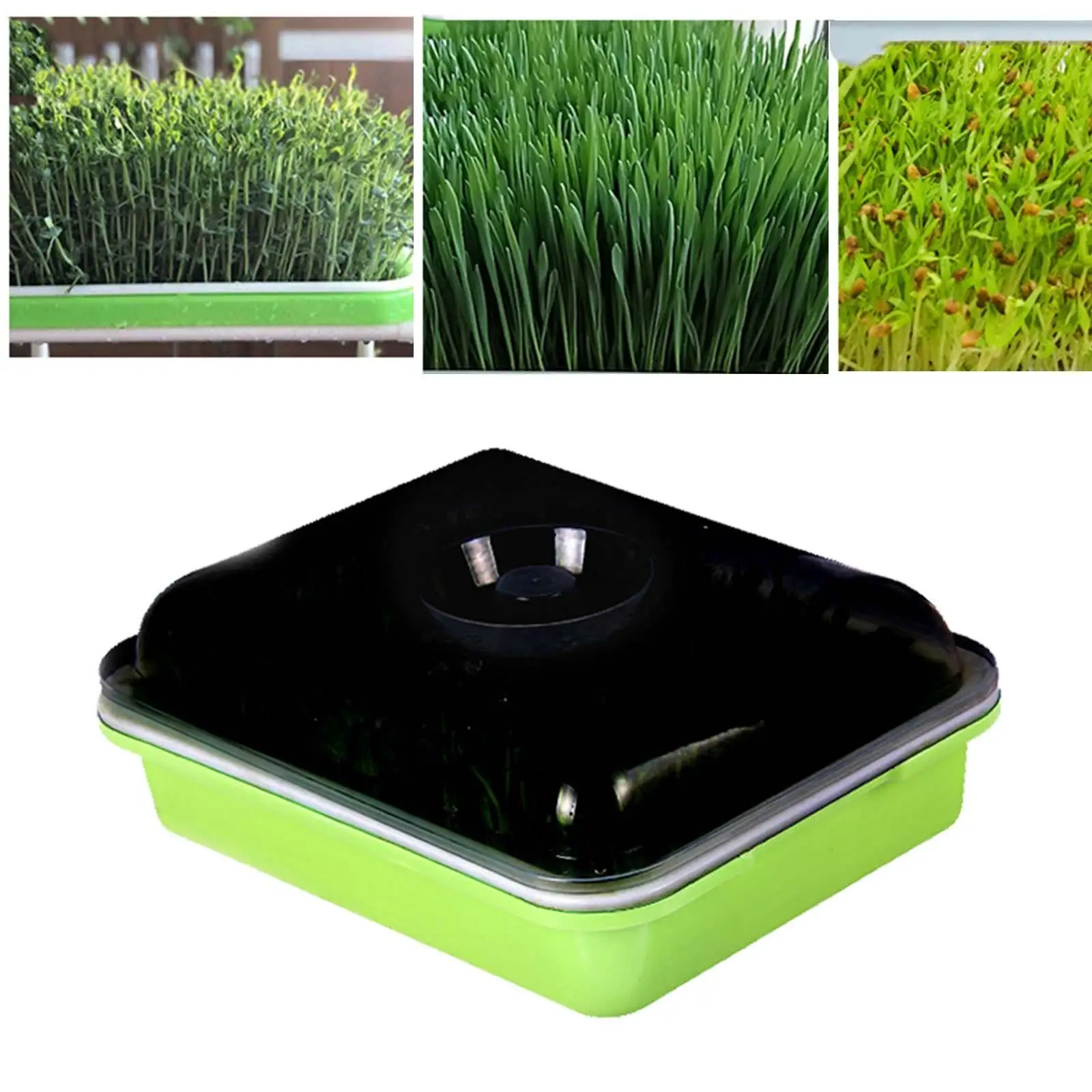 Seed Sprouter Tray, 1/2/5 Pcs Nursery Tray Seed Germination Tray