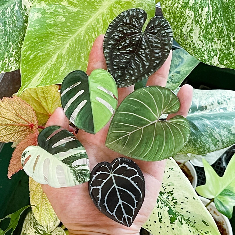 Poppings Stylish Leaf Acrylic Folding Grip Phone Holder