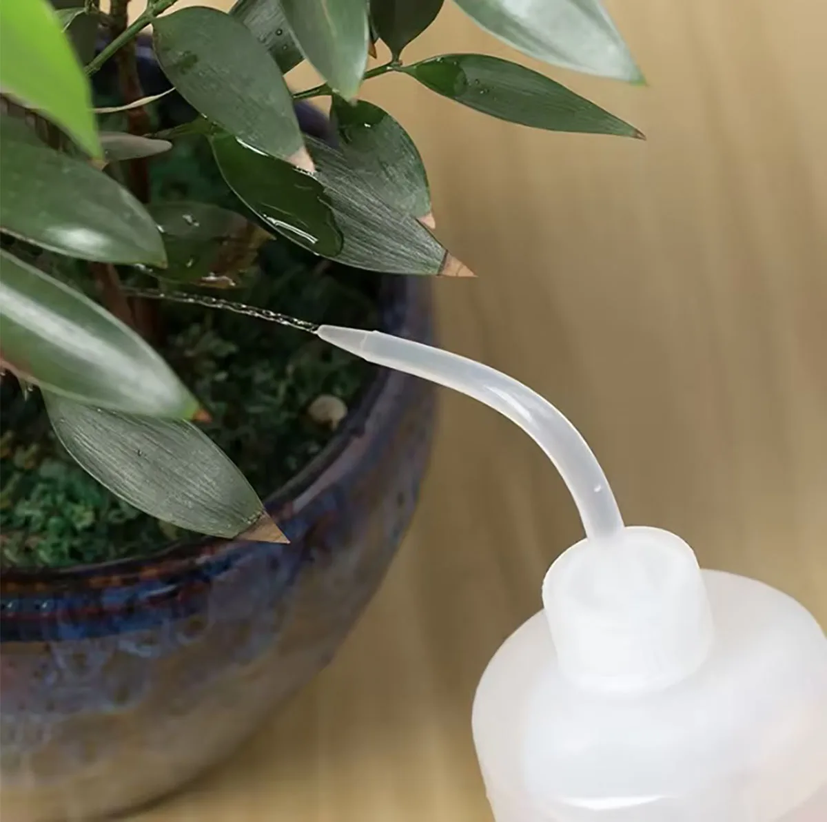 250 / 500/1000mL Water Beak Pouring Kettle Tool Succulents Plant Flower Watering Can Squeeze Bottles with Gardening Tools - 4