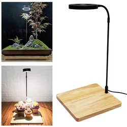 10W Potted Plants Heat Insulation With Wood Board Waterproof USB Powered Miniature Landscape Aquarium LED Light Home Fish Tank