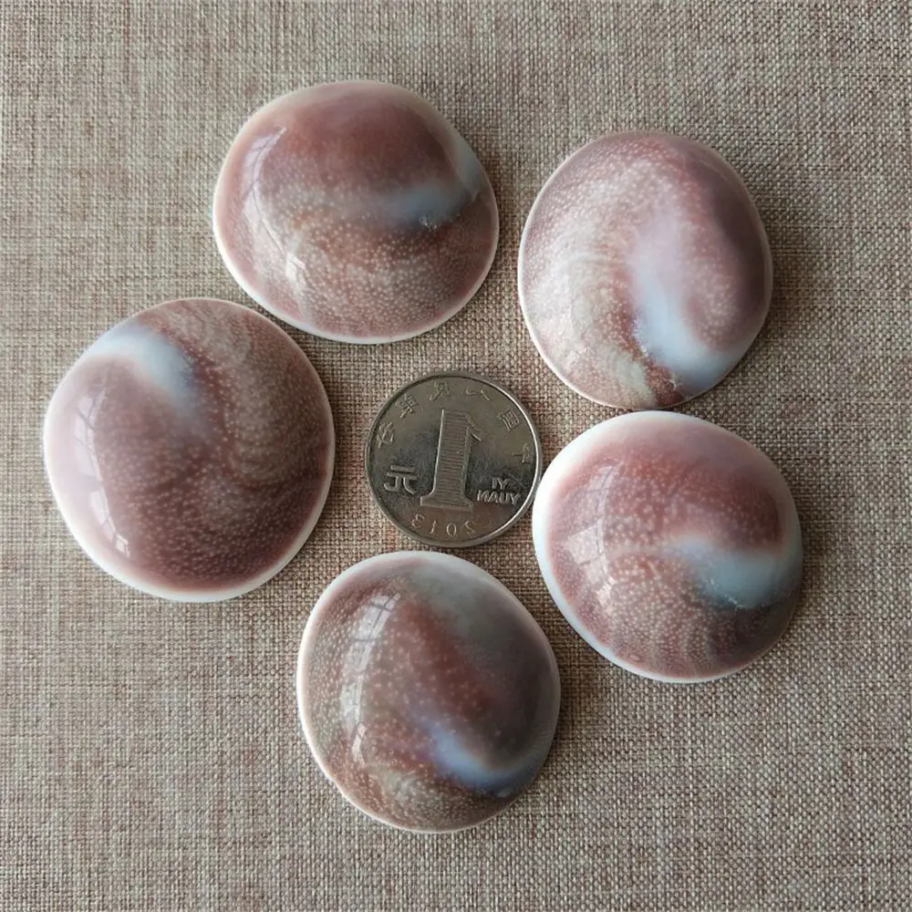 1-5Pcs Natural Madagascar Sun Shell Stone Esemplare Reiki Raw Gemstone Accessori Ornamenti Meditazione Chakra Ciondolo Regalo Fai Da Te