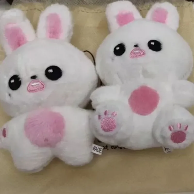 10CM Kpop Idols Wonyoung Bunnynong Plush Keychain Pendant Beauty Fans Gifts 2