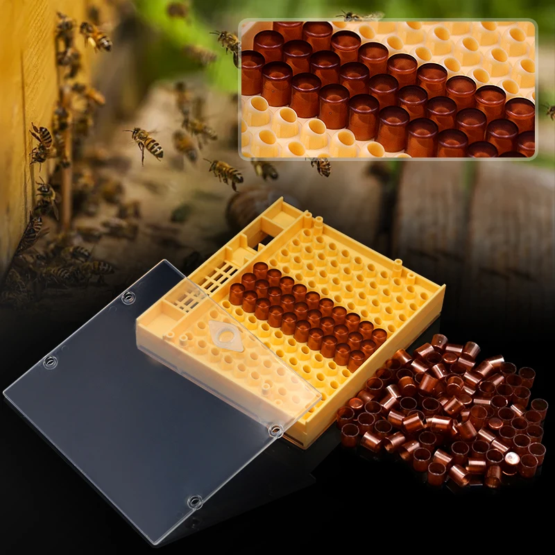 Beekeeping-Queen-Rearing-Cell-Cup-Box-Kit-Plastic-Honeycombs-Queen-Cage-Isolation-Apiculture-Equipment-Accessories.jpg Méhészet Queen Tenyésztő Cella Pohár Doboz Készlet Műanyag Méhsejt Ketrec Izolációs Apikulturális Berendezések Kiegészítők - Image 2