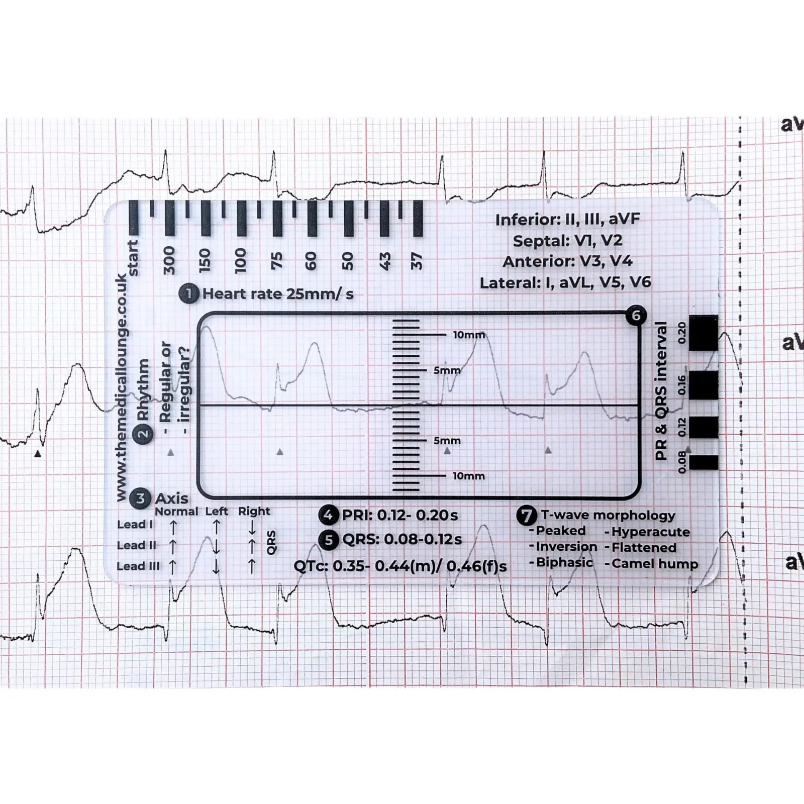 ECG 7단계 눈금자 ECG 해석 보조 눈금자