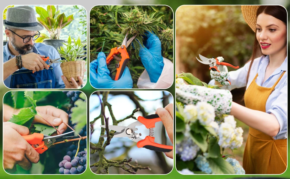 Garden Scissors For All Your Gardening Needs