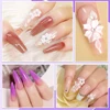 Limegirl Large Capacity Nail Acrylic Liquid Monomer Crystal 40/70/120/240ml for Nails Art DIY Acrylic Powder Liquid Manicure 6