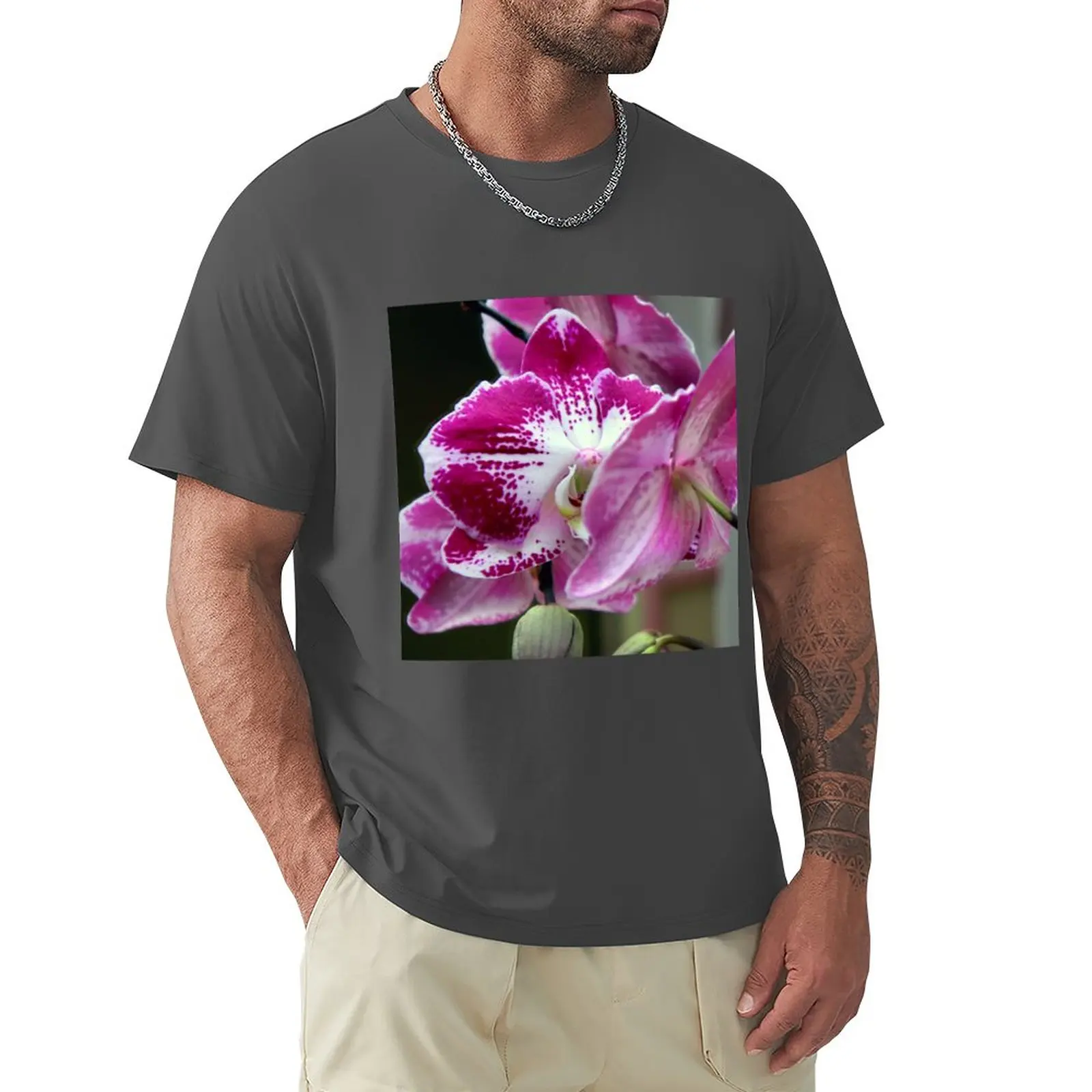 

Moths In The Mirror T-Shirt blank t shirts quick-drying t-shirt summer top T-shirt for a boy mens graphic t-shirts pack