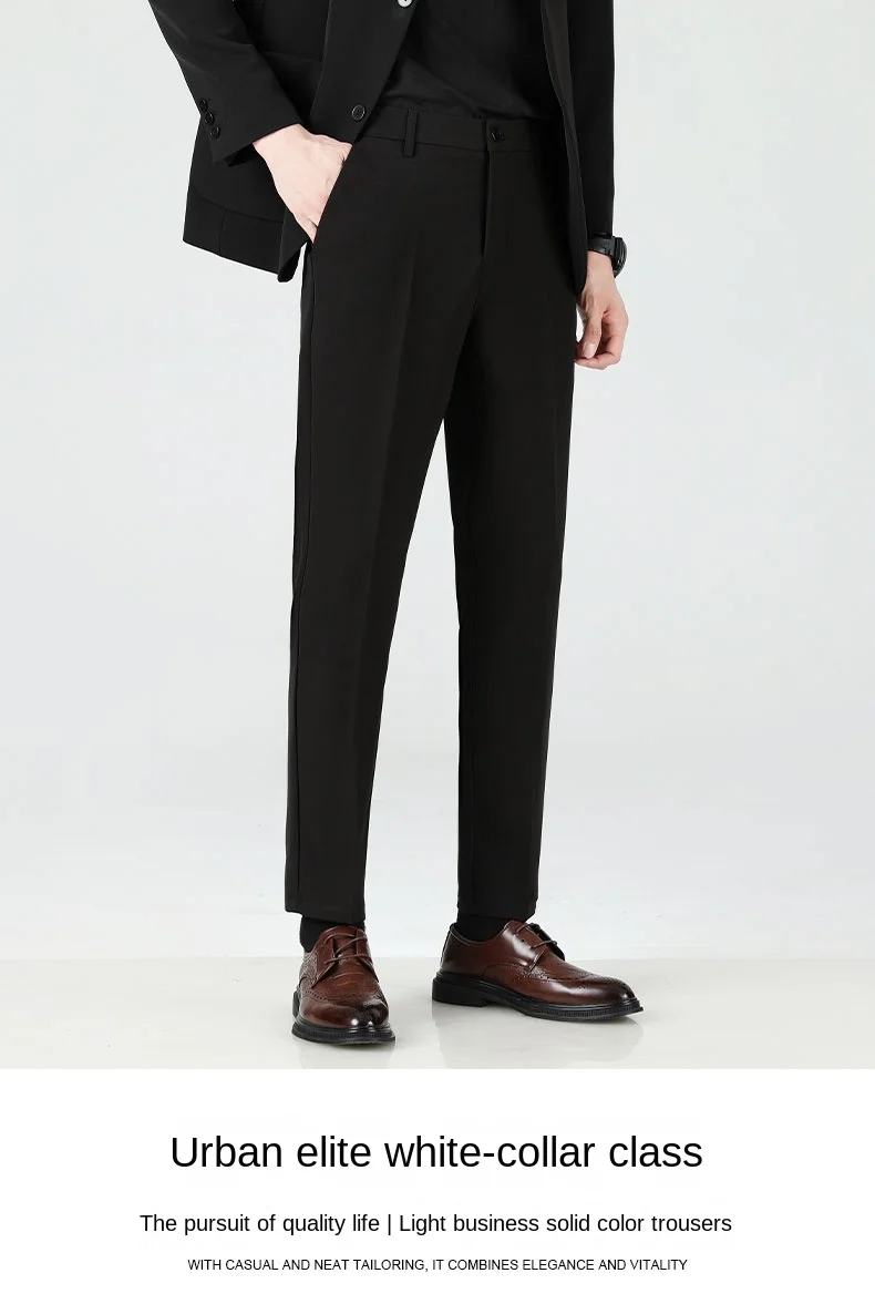 Description Picture 3 of item2024 Autumn/Winter Thick Men's Casual Pants Straight Loose Fashion Trend Business Versatile 9-point Suit Pants