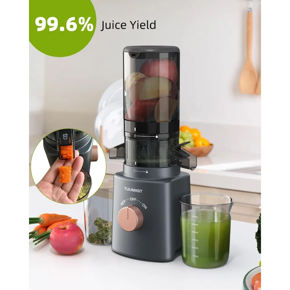 Juicer Machines,Cold Press Juicer with 4.25'' Large Feed Chute Fit Whole Vegetable And Fruit, Masticating Juicer Easy To Clean 3