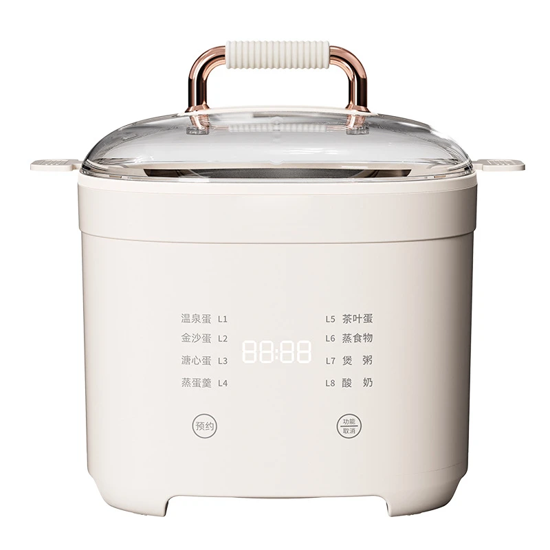 220V Multifunctional Egg Boiler and Steamer for Soft/Medium/Hard Eggs Automatic Egg Cooker For Eggs Vegetables and Seafood 2