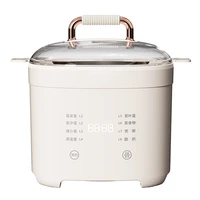 220V Multifunctional Egg Boiler and Steamer for Soft/Medium/Hard Eggs Automatic Egg Cooker For Eggs Vegetables and Seafood 2