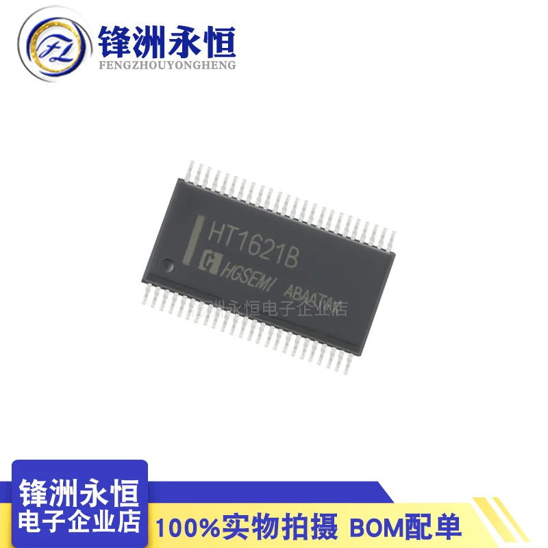 

New Original HT1621B HT1621 Patch SSOP48 Display Driver IC LCD Liquid Crystal Driver Chip TM1621B
