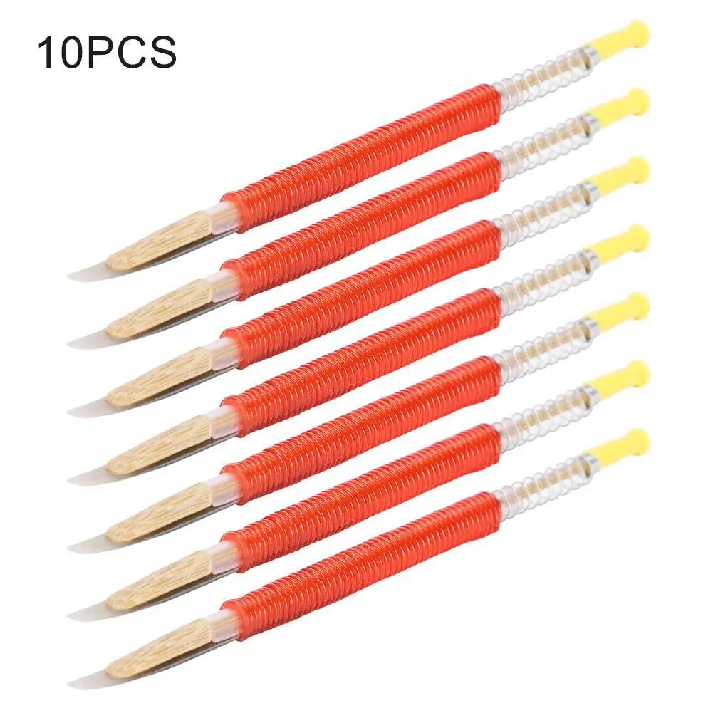 Beekeeping Grafting Tool Bee Queen Larva 10 Pcs