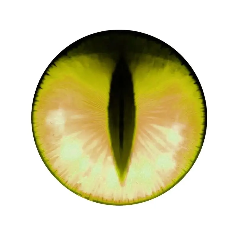 Furry Head eyes Eyeball Furryfandom Kigurumi Kemono Cosplay Costume Eye Pupil Accessories Animal Dust Net Printing Furry Kig