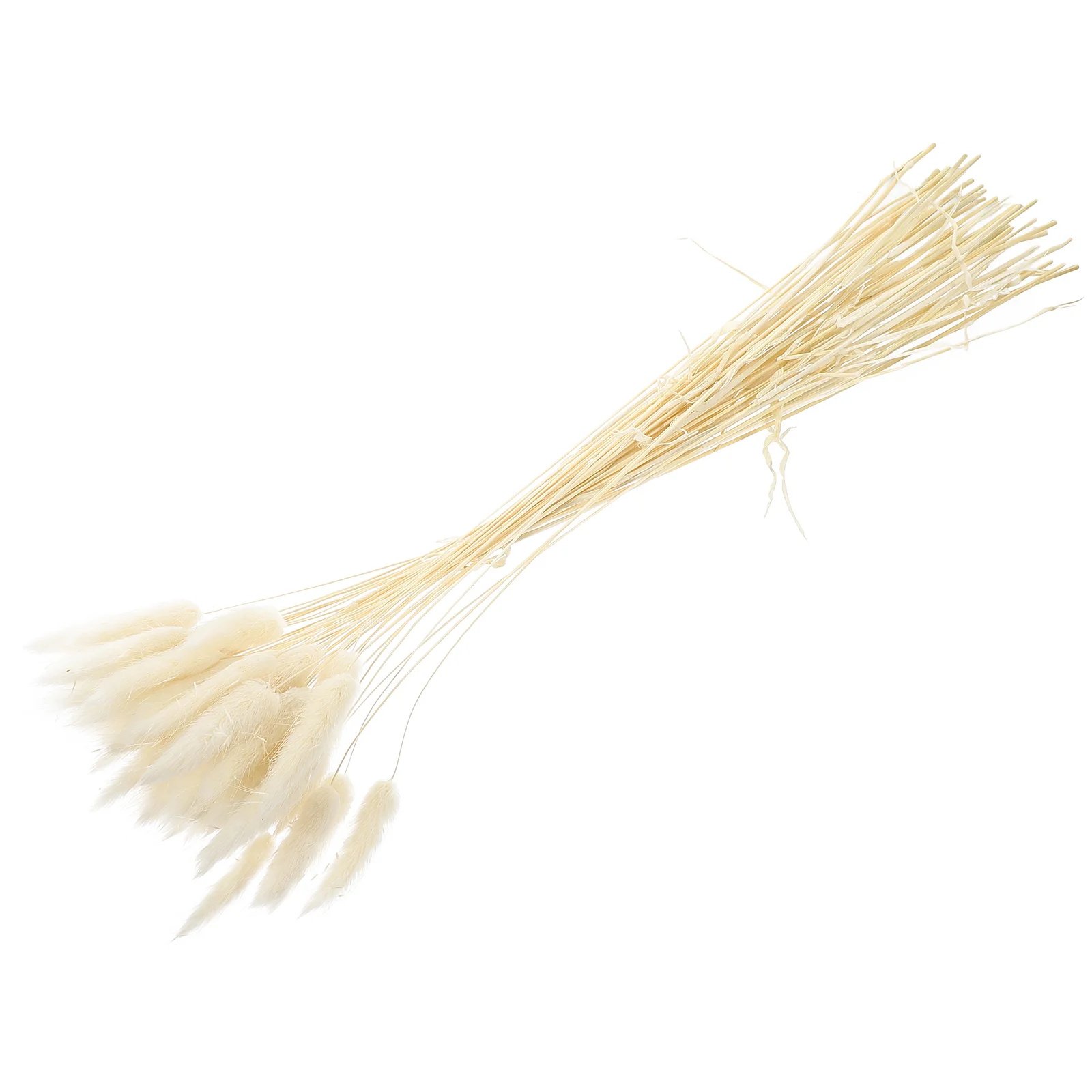 

50 Pcs Office Decor Simulation Plant Props Bedrooms Decorative Dried Grass Flower Arrangement Flowers DIY Home