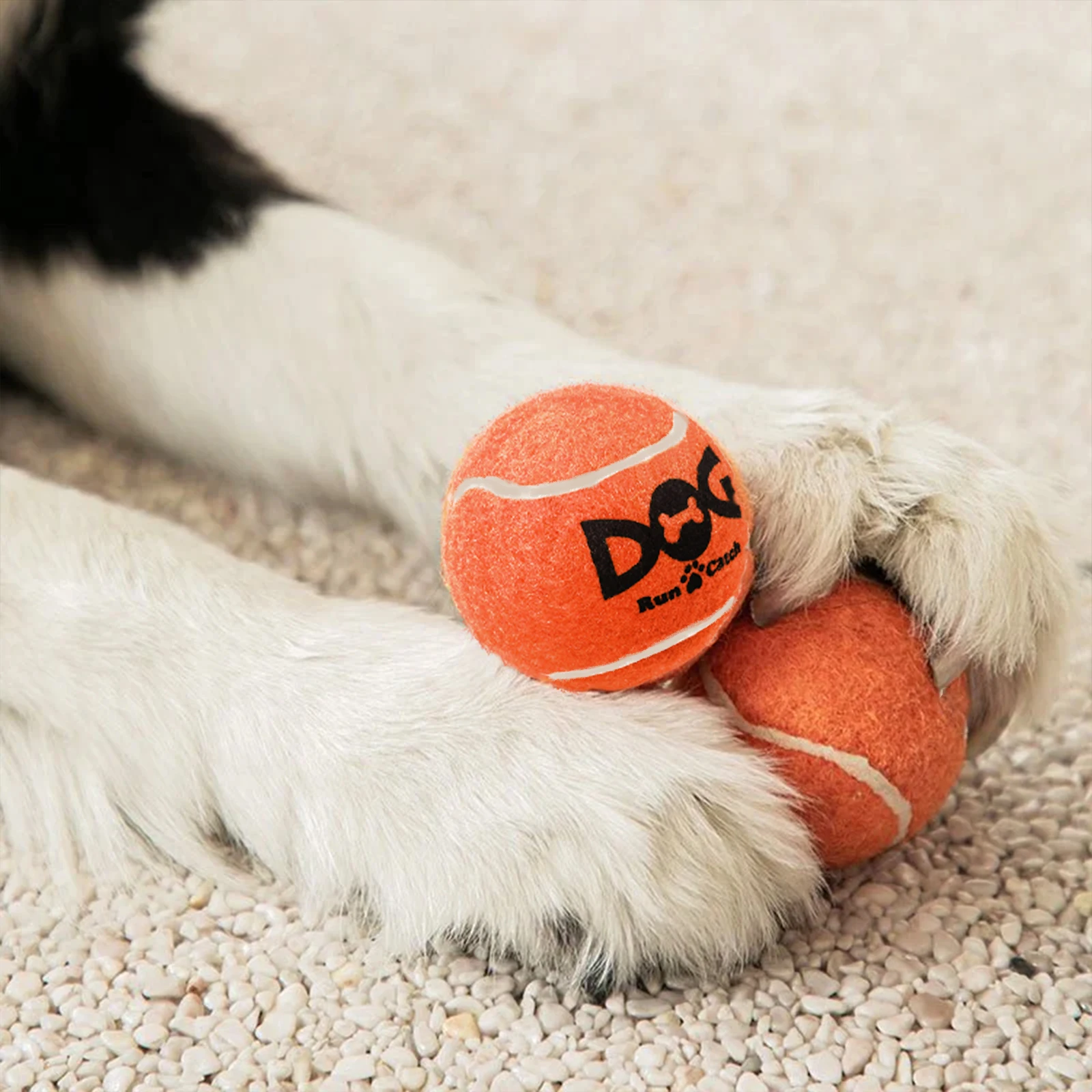 4~12 Pcs Squeaky Tennis Balls for Dog Toy, 2.5'' Small or Medium Breed Dogs Traning Easy Fetching Balls Highly Bouncy