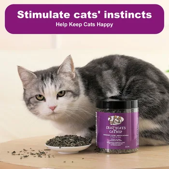 ⁦460ml Premium Catnip Jar for Cats⁩ - الصورة ⁦6⁩