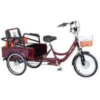 Tricycle Électrique avec Siège Passager pour Adulte, Vélo de Ville Familial avec mir, Batterie Parfaite, 48V 4