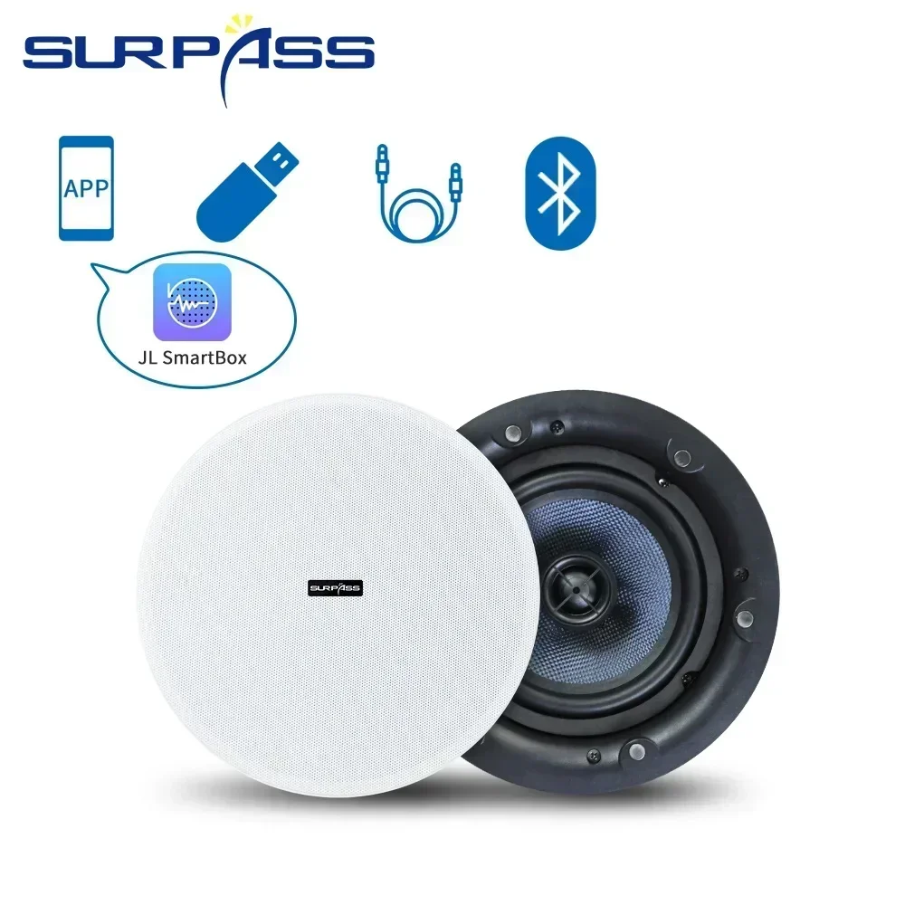 5.25inch Bluetooth Ceiling Speaker Home Theater Speaker Built-in Class D Digital Amplifier Ceiling Bluetooth Speakers Indoor bluetooth speaker wall ceiling speaker
