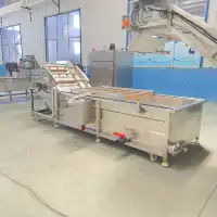 Industrial Commercial Fruit And Vegetable Bubble Washing Cleaning Machine Food Processing Machinery 1