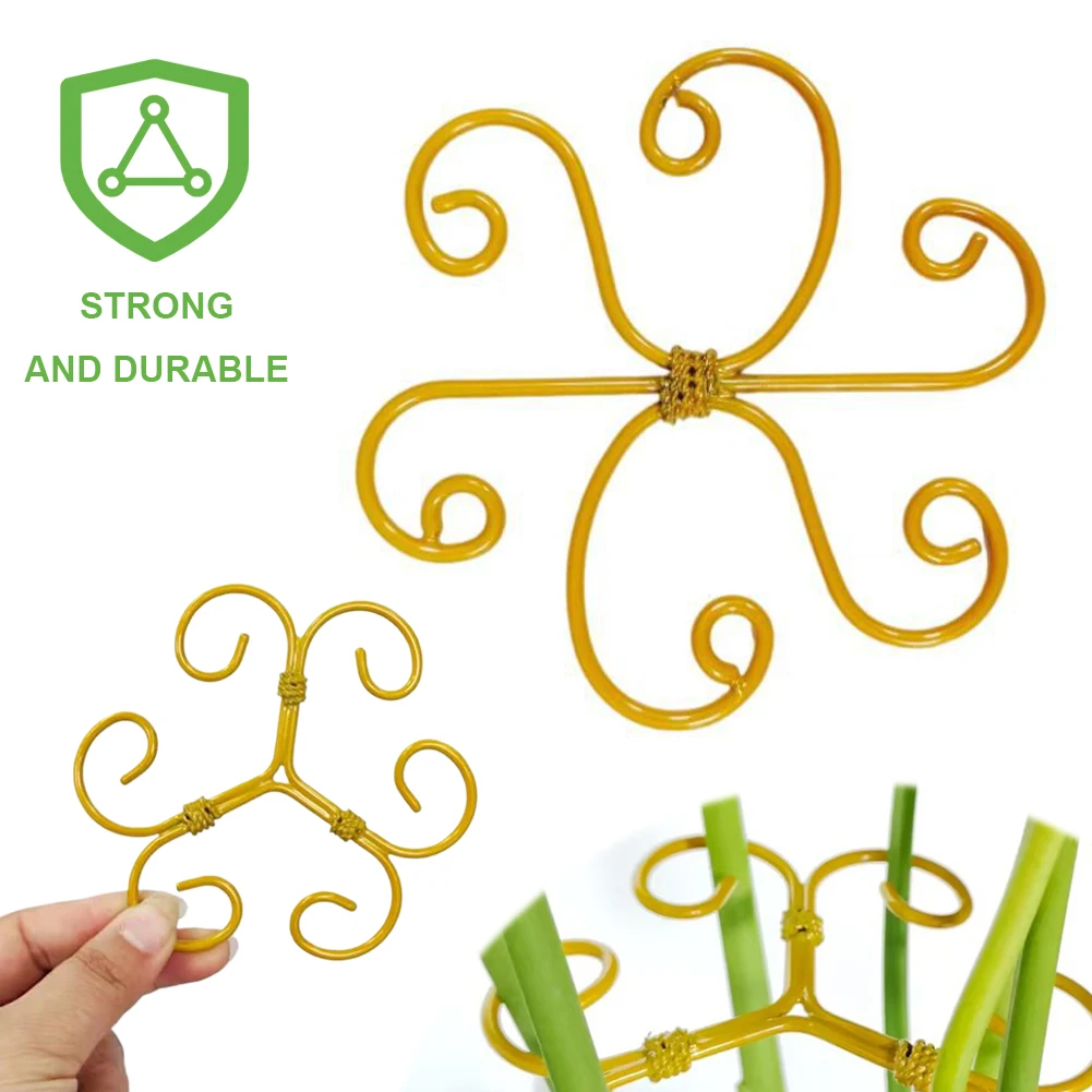 Metal Plant Stem Support Reusable Holder for Indoor Monstera Plants