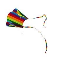 Rainbow Parafoil Kite Polyester Ripstop Flying Kite Kid Adult Outdoor Flying Toy, Flower 1