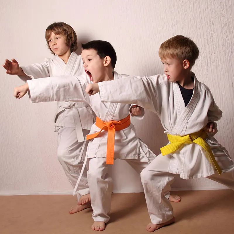 Colored Karate Belt Progression Set for Children and Youth Training