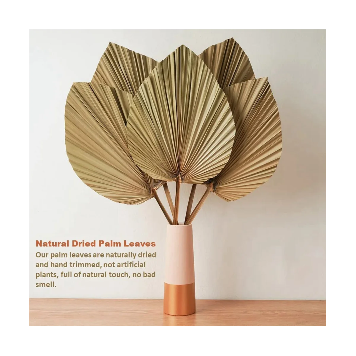 4 Pieces Natural Dried Palm Leaves for Palm Leaf Decor Boho Decor Home Wedding dried palm leaves