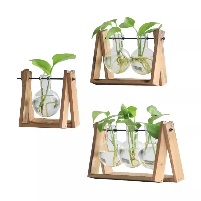 

Creative Hydroponic Wooden Frame Container Rack, Glass Vase for Green Pineapple Plant, Office Tabletop Vase Decoration