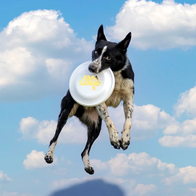 Pet Dog Flying Disks Kids Puppy Funny Interactive Training Toys Flying Saucer Professional Dog Races Disks 240mm
