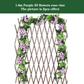 33 purple