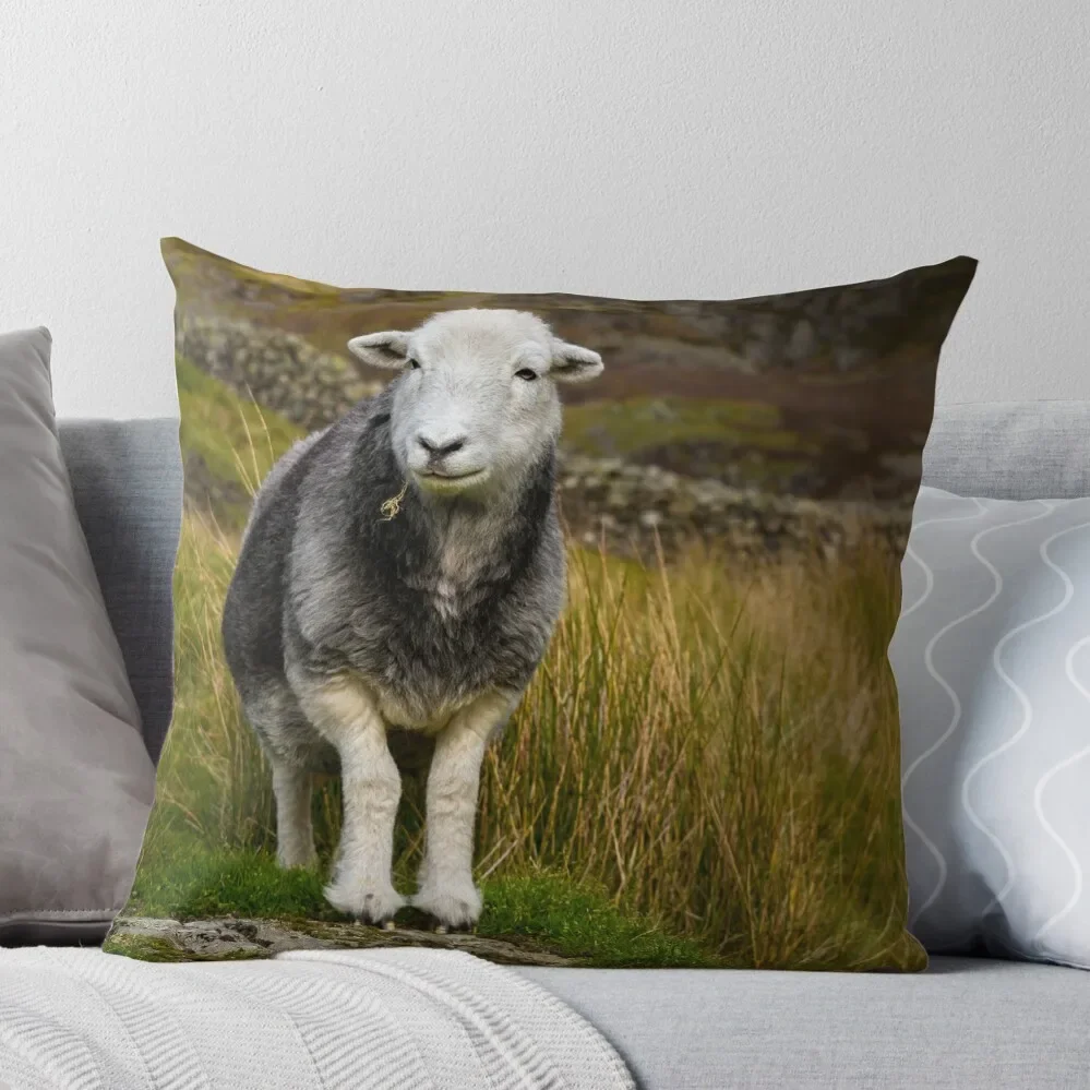 

Herdwick Sheep Throw Pillow autumn pillowcase Decorative Pillow Covers For Sofa