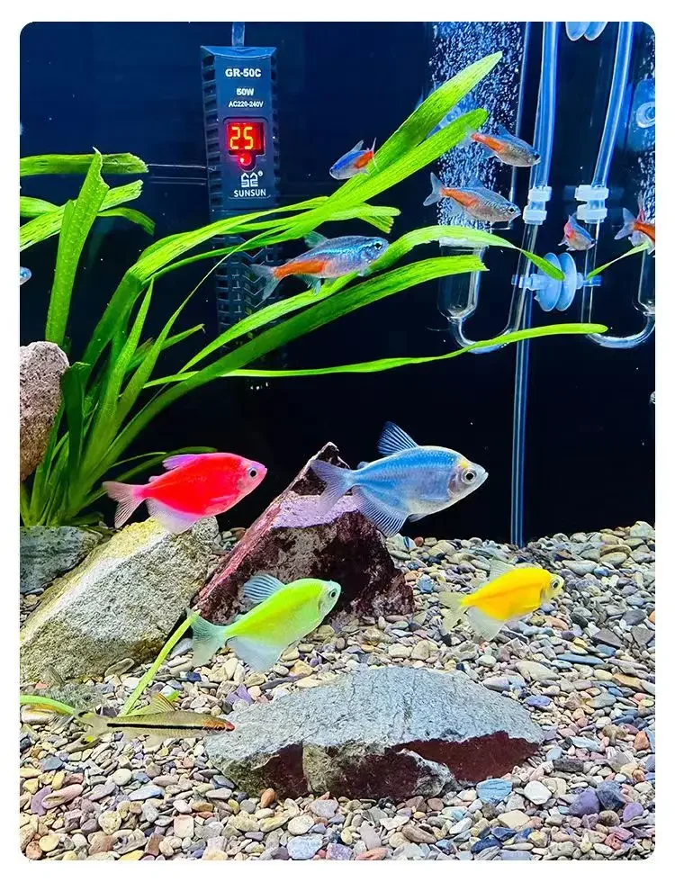 Natural Stream Sand Home Decoration Stone Aquarium Substrate Landscaping Aquarium Bottom Sand Fish Tank