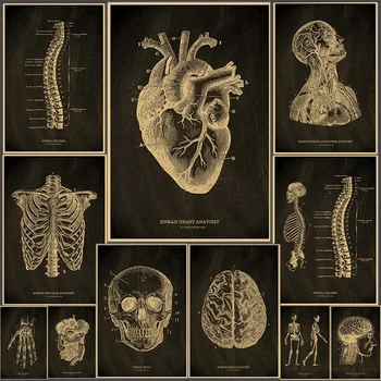 Quadro su tela 2D (cuore/cadavere/cervello) - Poster in carta kraft, lavagna, scheletro anatomico vintage, decorazione per la casa, la stanza, la medicina