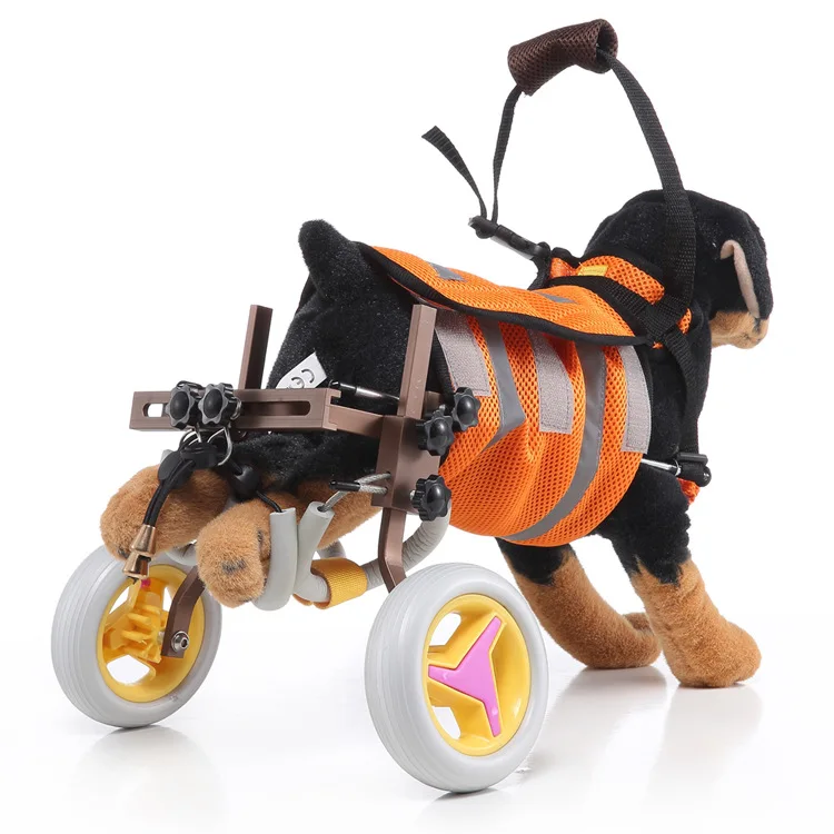 Chariot pour chien handicape patte arriere