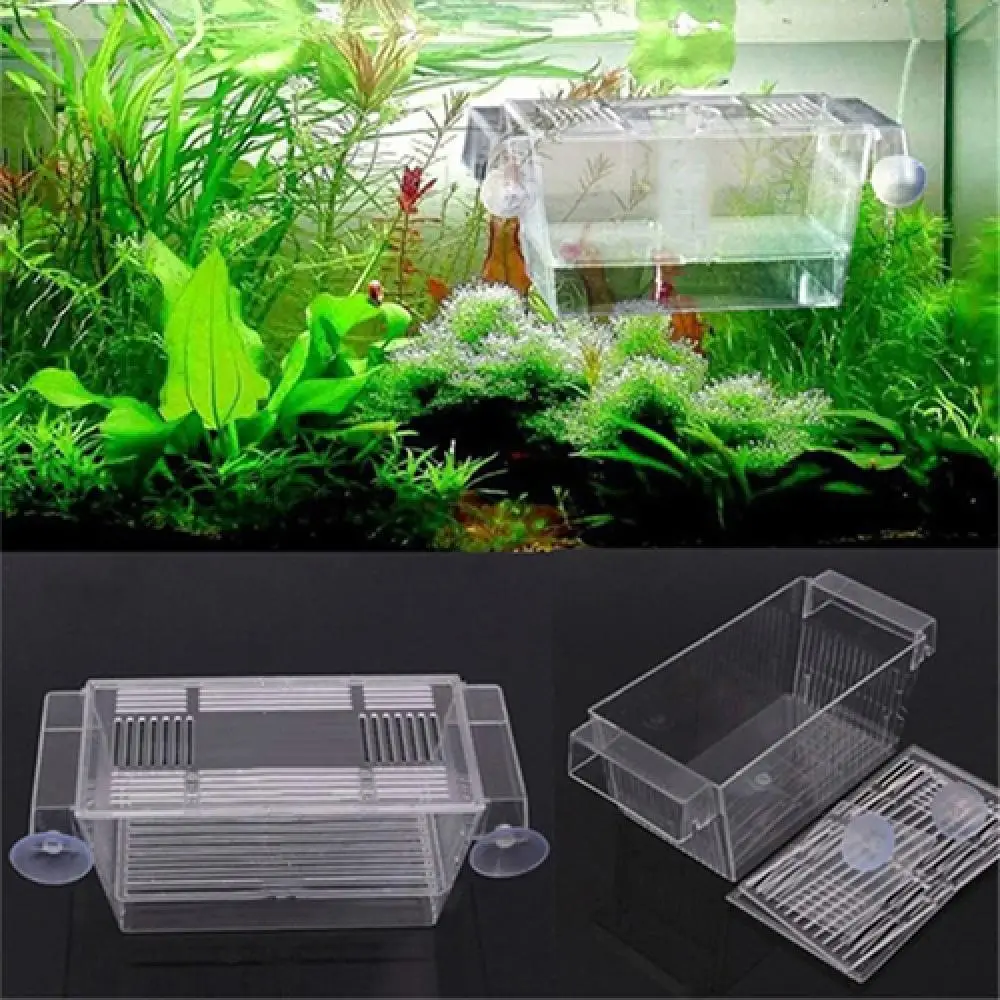 Fish Breeding Box Aquarium Fish Tank Guppy Double Breeding Breeder Rearing Box Fish Tank Aquarium for Accessories equipment