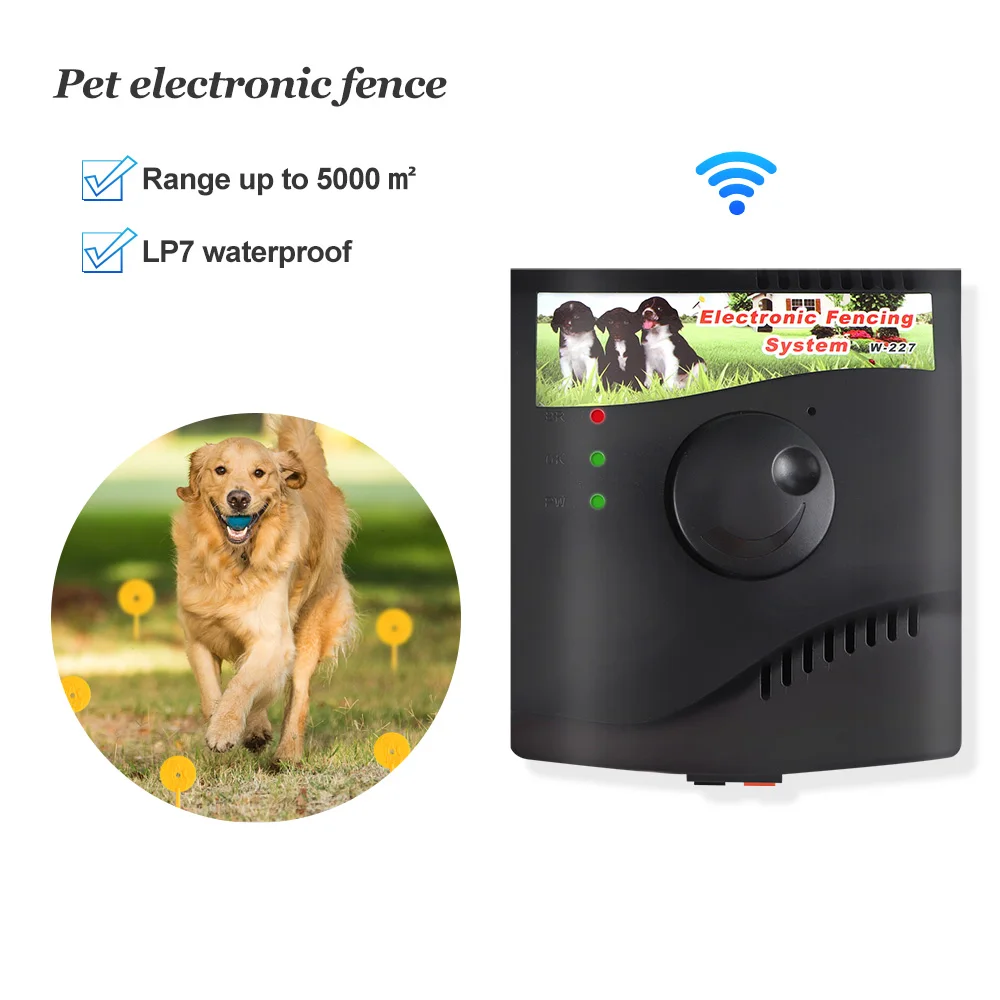 Are Electric Collars Fences Safe For Dogs