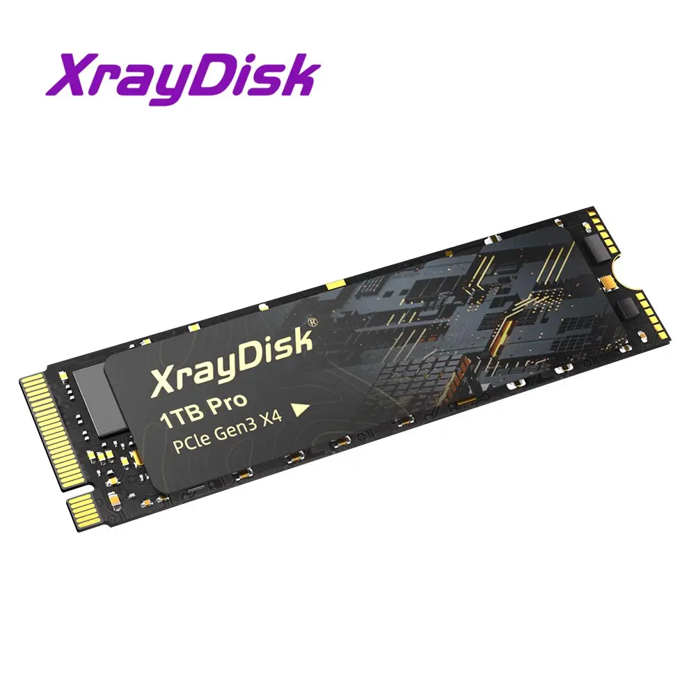 値下げXrayDisk 1TB Pro PCIe Gen3 X4 SSD Xraydisk M2 NVMe SSD High Speed 1TB 512GB M.2 PCIe NVME Ssd