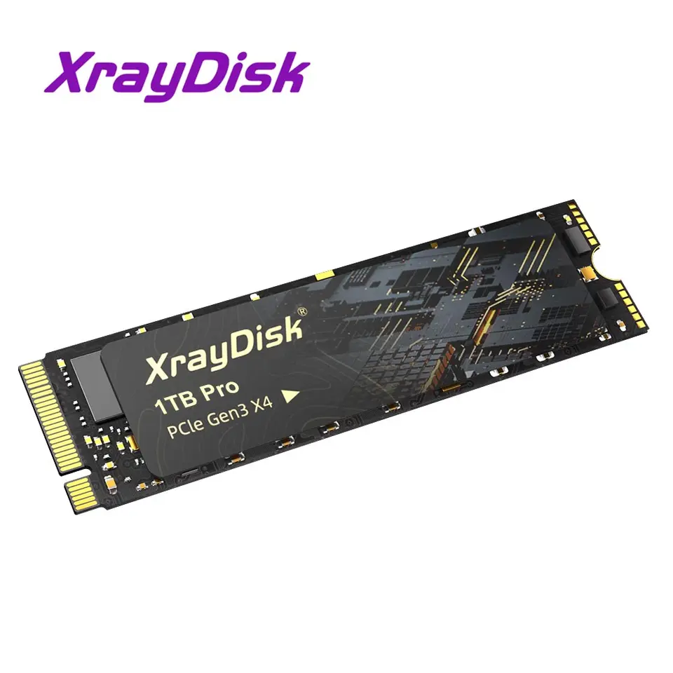 値下げXrayDisk 1TB Pro PCIe Gen3 X4 SSD Xraydisk M2 NVMe SSD High Speed 1TB 512GB M.2 PCIe NVME Ssd Solid