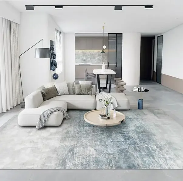 Light Luxury Carpets for Living Room Large Area Lounge Carpet Minimalist Bedroom Decor Gray Rug Home Soft Washable Floor Mat 3