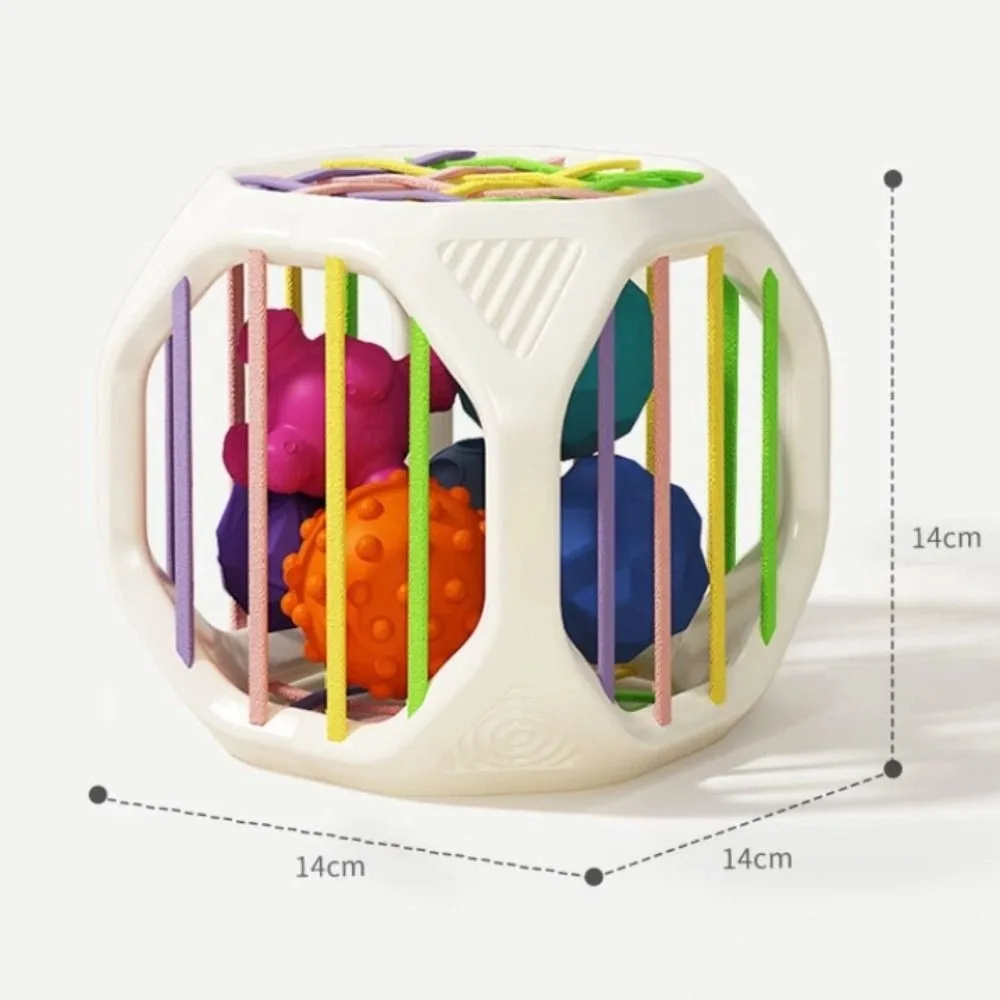 Shape & Sense Rainbow Building Blocks 6-in-1 Geometry Montessori Toys Color Recognition Cute Animal Sensory Development Toys