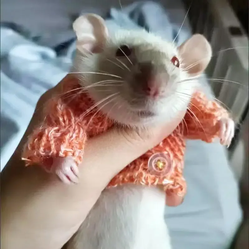 Lovely Hamster Clothes Small Animal Clothing Accessories Rabbit Totoro Clothes Vest Guinea Pig Outdoor Vest Small Animal small animal clothes